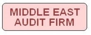 Middle East Audit Firm