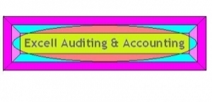 Excel Auditing & Accounting