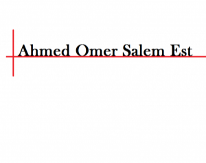 Ahmed Omer Salem Est