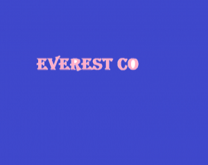 Everest Co