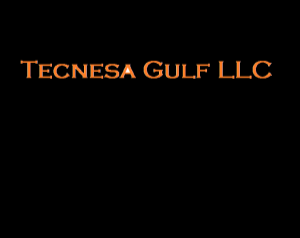 Tecnesa Gulf LLC