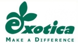 EXOTICA Group LLC