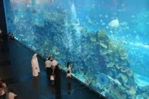 Al Ain Zoo & Aquarium