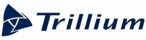 TRILLIUM ENGINEERING CONSULTANTS