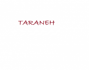 TARANEH TRDG LLC