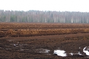 Nutrient-rich soil and peat