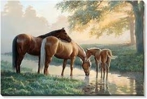 horses on canvas