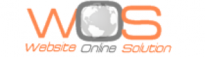 Online Ecommerce Solutions website development s