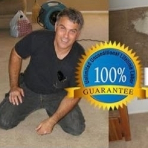 Phoenix Creative Carpet Repair