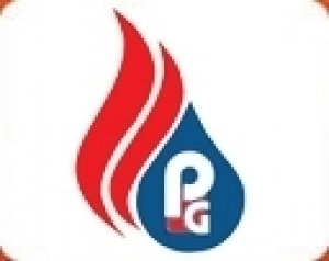 Pan Gulf Energy & Fuel Supply L.L.C