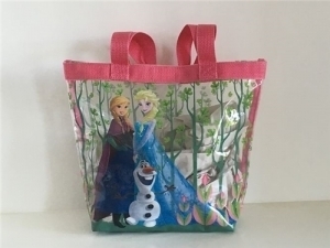 Disney Frozen Sisters Clear PVC Bag