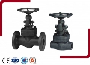 Forged Steel Flange And Butt-Welded Globe Valve