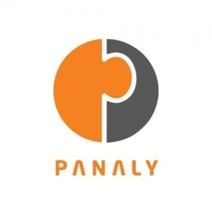 Panaly Consulting