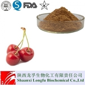 100% Natural Acerola Cherry Powder Vitamin C