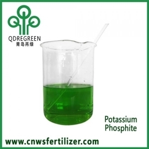 Concentrated Liquid Potassium Phosphite