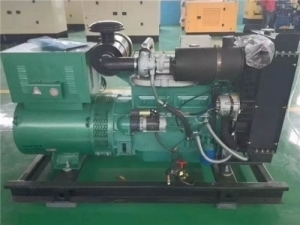 China Brushless 50kw 4 Cylinder Diesel Engine