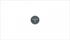 Primary Button Cell Battery