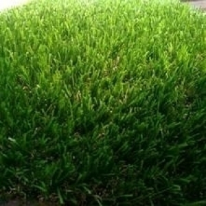 Non Filling Soccer Field Grass Carpet