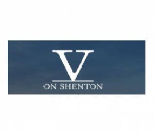 V On Shenton Condo