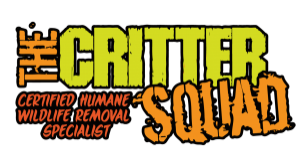 The Critter Squad Inc.