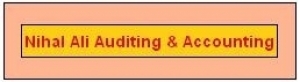 NIHAL ALI AUDITING & ACCOUNTING