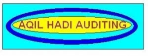 AQIL HADI AUDITING