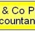 Radi & Co Public Accountants -