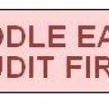 Middle East Audit Firm
