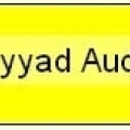 Omayyad Auditing