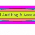Excel Auditing & Accounting