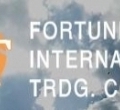 FORTUNE INTERNATIONAL TRADING CO. LLC