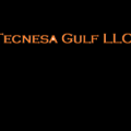 Tecnesa Gulf LLC
