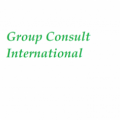 Group Consult International