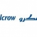 Halcrow Intl Partnership