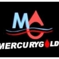 Mercury Gold Lubricants L.L.C.
