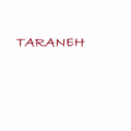 TARANEH TRDG LLC