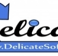 Delicate Software Solutions