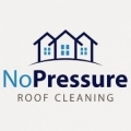 No Pressure Roof Cleaning