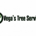 Vega's Tree Services