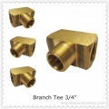 a Brass Branch Tee,3/4",FNPT x FNPT x MNPT,1200 PS