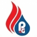 Pan Gulf Energy & Fuel Supply L.L.C