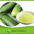 Natural Excellent quality cucumber powder