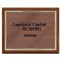 Capricorn Capital