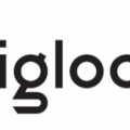 Igloo - Digital Marketing Agency UAE