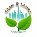 Stem and Leaves - House plants online