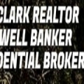 Don Clark Realtor Coldwell Banker Residential Brok